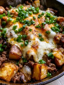 Macro shot of crispy cubed potatoes and browned ground beef in a cast iron pan. (Ground beef and potato recipe)