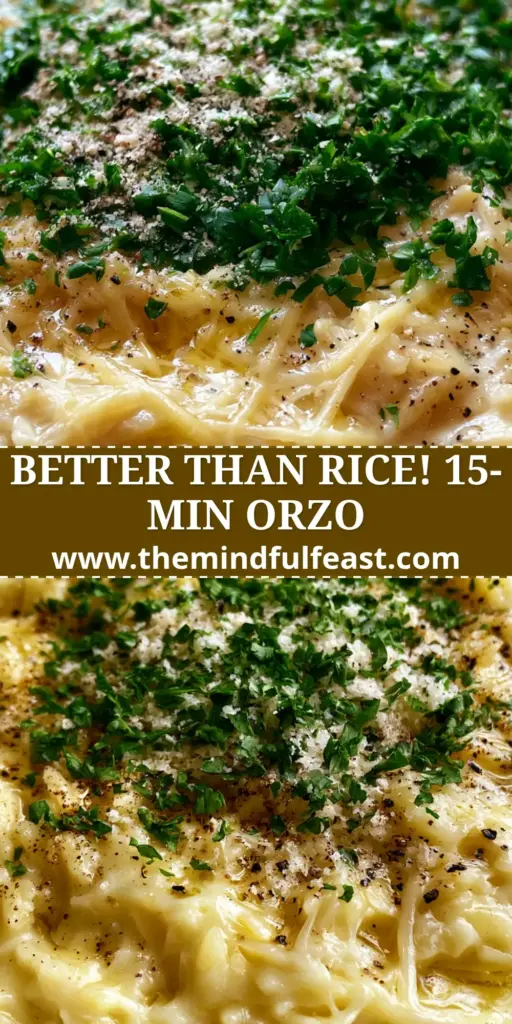 A close-up shot of creamy Garlic Butter Orzo garnished with fresh parsley and black pepper in a rustic bowl.
