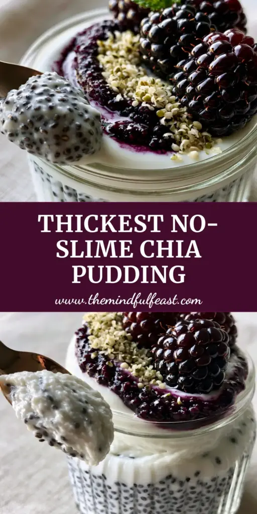 A thick, mousse-like high protein chia pudding in a ribbed glass jar topped with blackberries and hemp hearts. (Chia pudding)